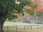 Barn in the mist