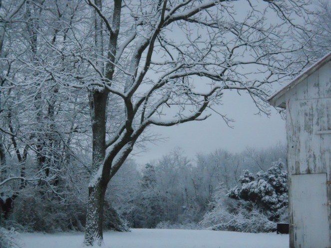 The quiet of nature.