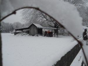 Vee's Home and The Range