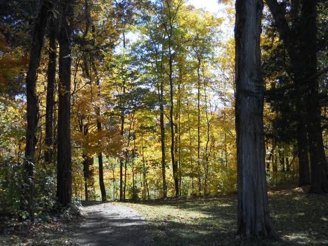 Abe's Stomping Grounds, KY