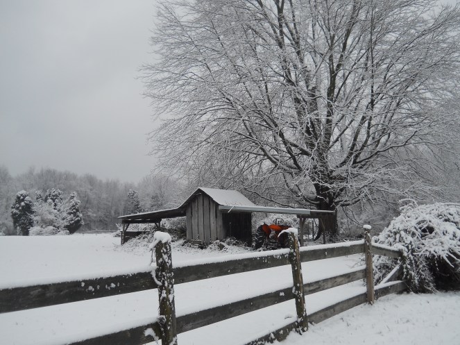 A peaceful winter morning.