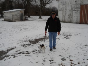 Poppy and Nella enjoy the morning walk in the snow!