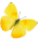 yellow butterfly